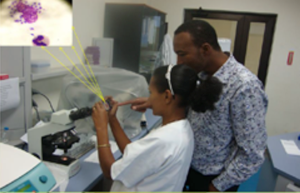 Team members training the regional staff on Leishmania culture and smear microscopy