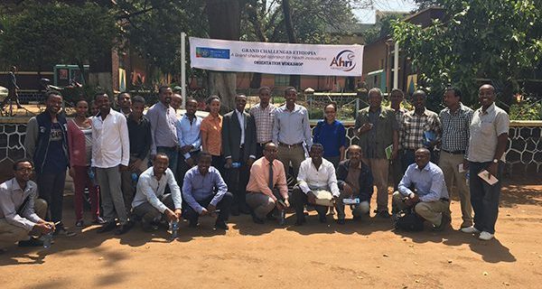 Grand Challenges Ethiopia, in collaboration with Health and Post Graduate directorate of Jimma University Institute of Health (JUIH) held an orientation workshop